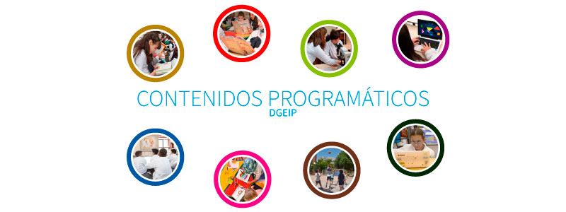 Proceso de análisis y revisión de los contenidos programáticos de la Educación Básica Integrada (EBI).